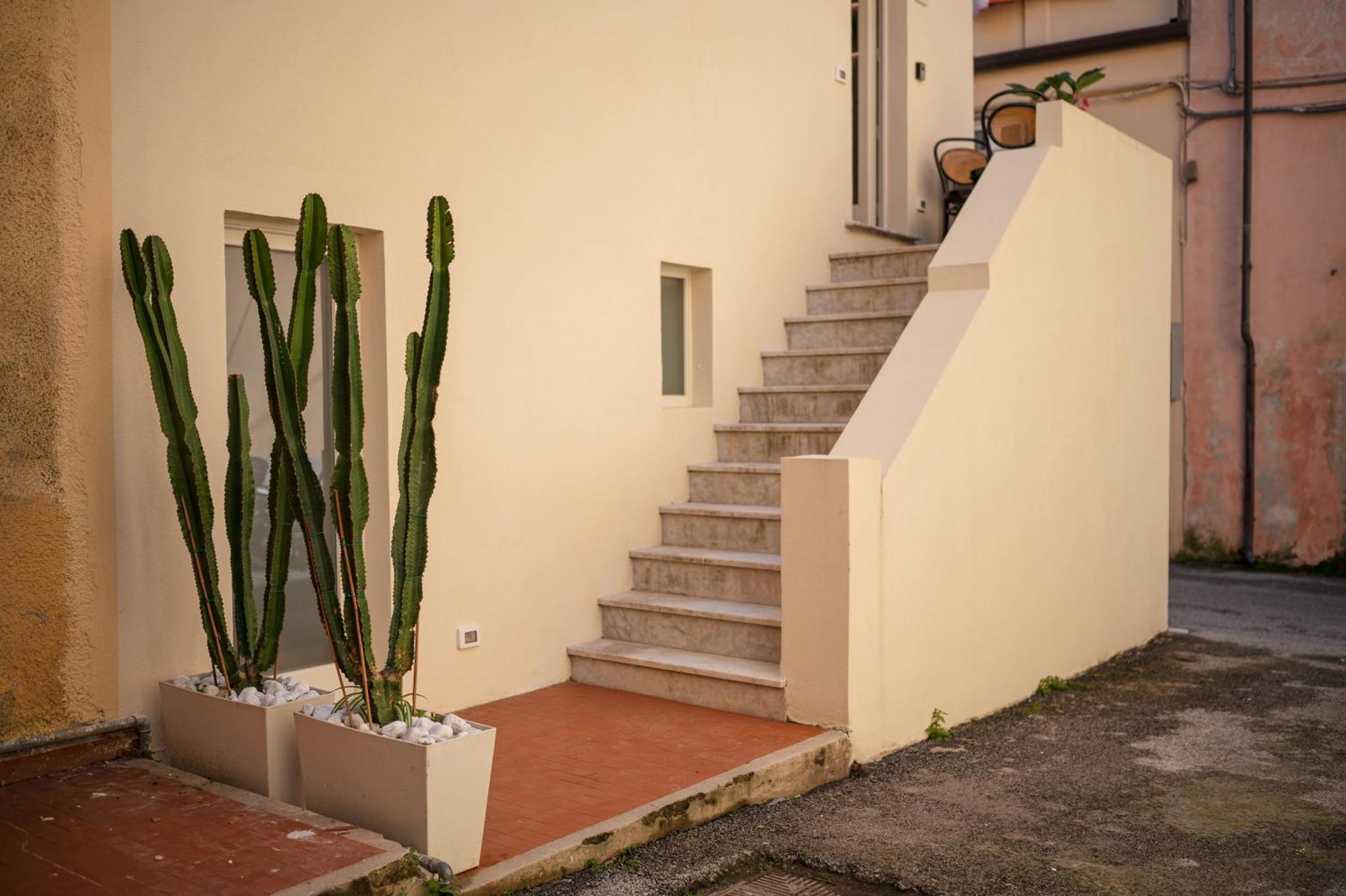 Saliscendi Apartment Pietrasanta Exterior photo
